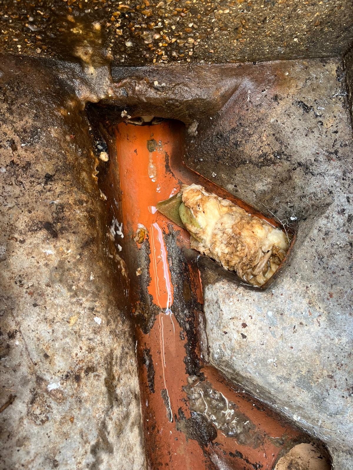 WhatsApp Image 2025 02 03 at 21.25.34 (3)